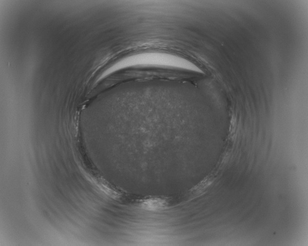 X0000078870168200611271310