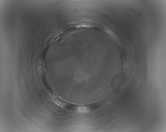 X0000078870169200611271310