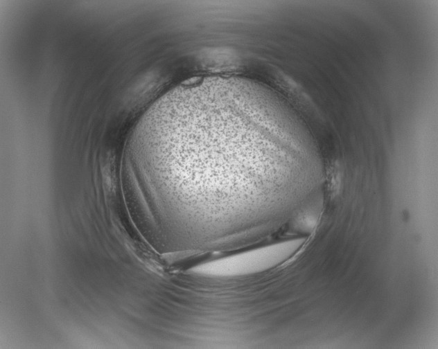 X0000078870170200611271310