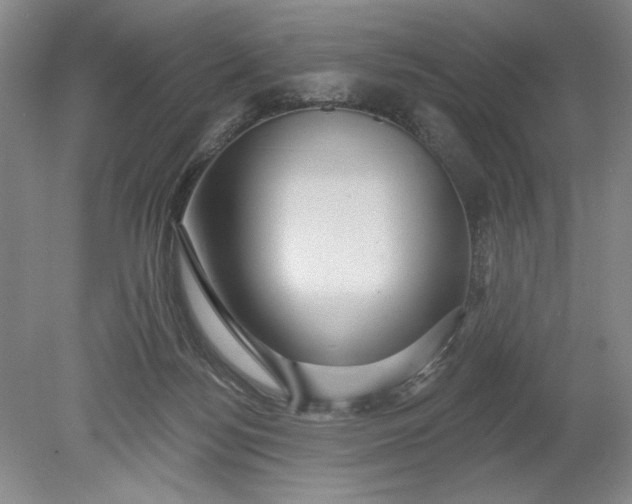 X0000078870172200611271310