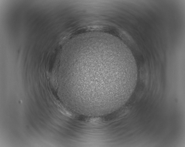 X0000078870173200611271310