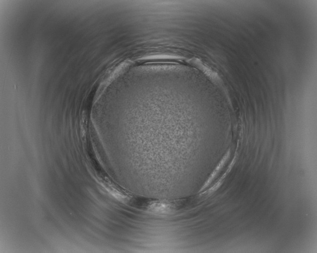 X0000078870174200611271310