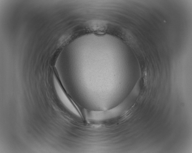 X0000078870176200611271310