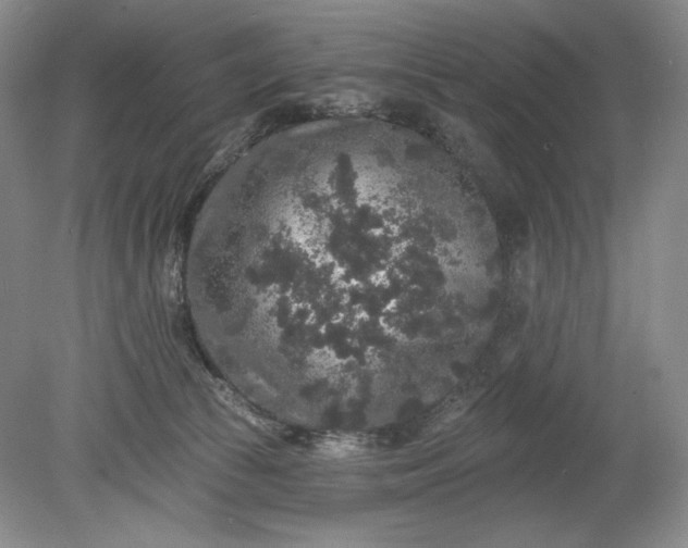 X0000078870177200611271310