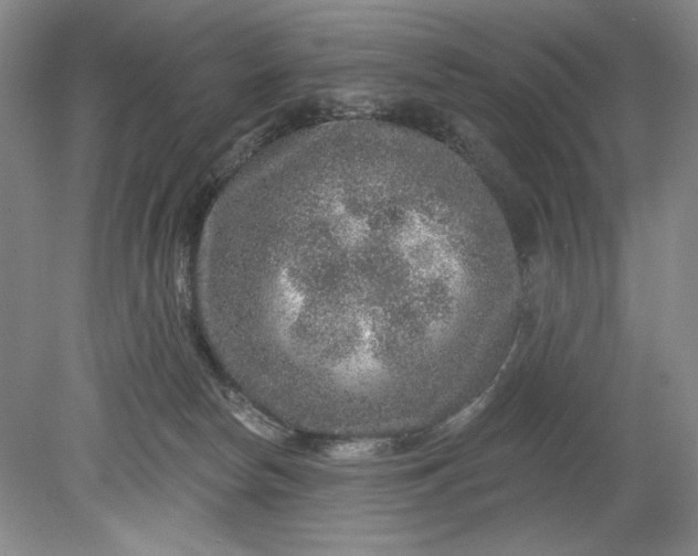 X0000078870178200611271310