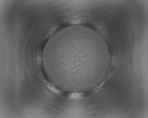 X0000078870179200611271310