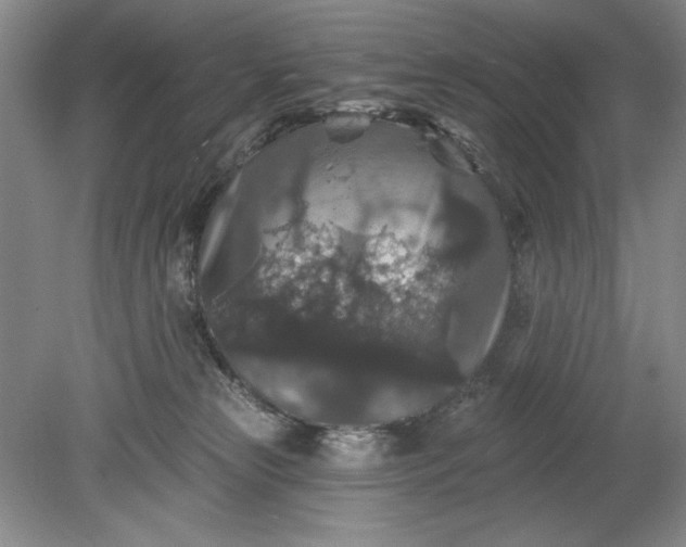 X0000078870181200611271310