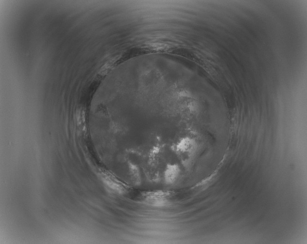 X0000078870182200611271310