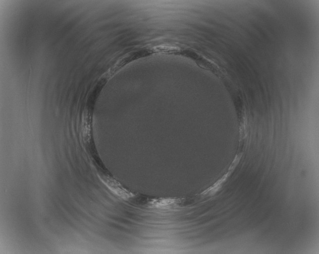 X0000078870186200611271310