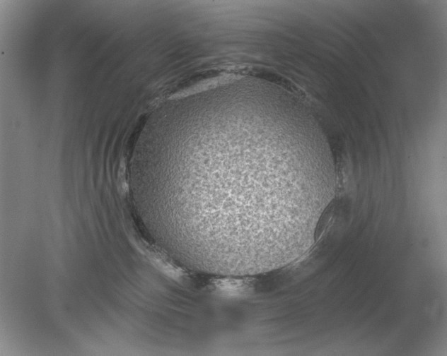 X0000078870187200611271310