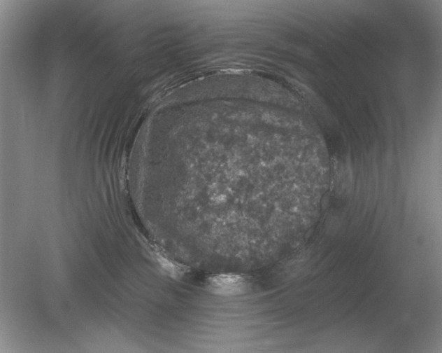 X0000078870189200611271310