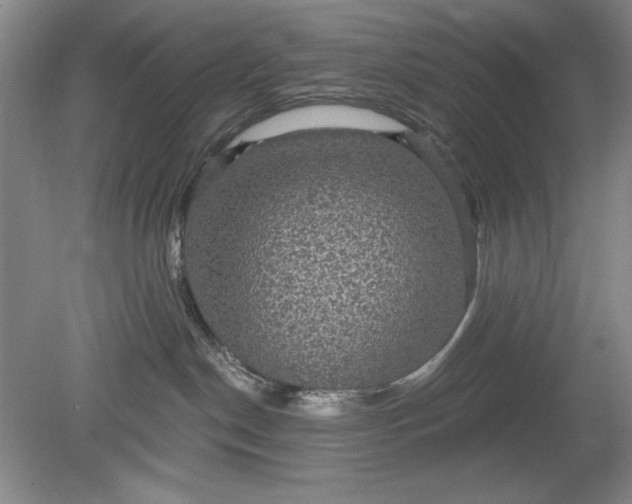 X0000078870190200611271310