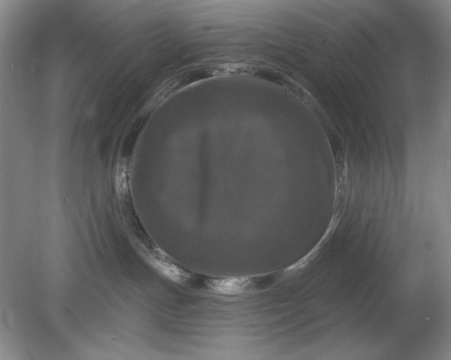 X0000078870191200611271310