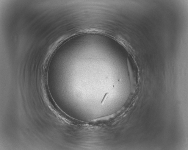 X0000078870193200611271310