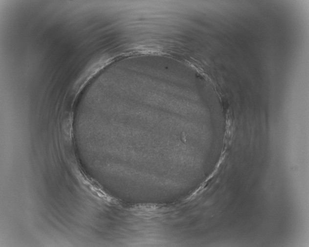 X0000078870194200611271310