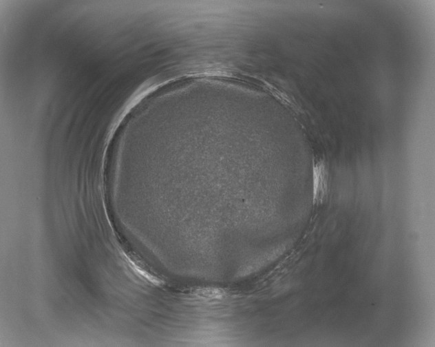 X0000078870195200611271310