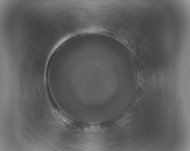 X0000078870196200611271310