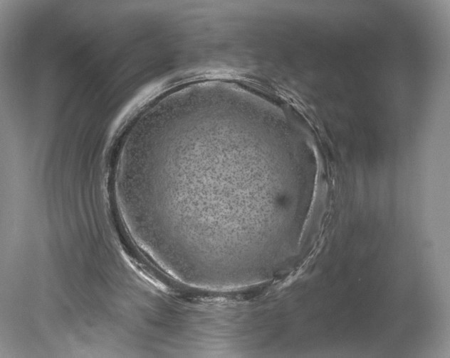 X0000078870197200611271310