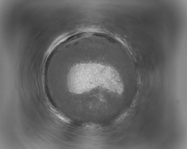 X0000078870199200611271310