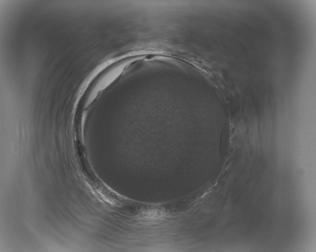 X0000078870200200611271309