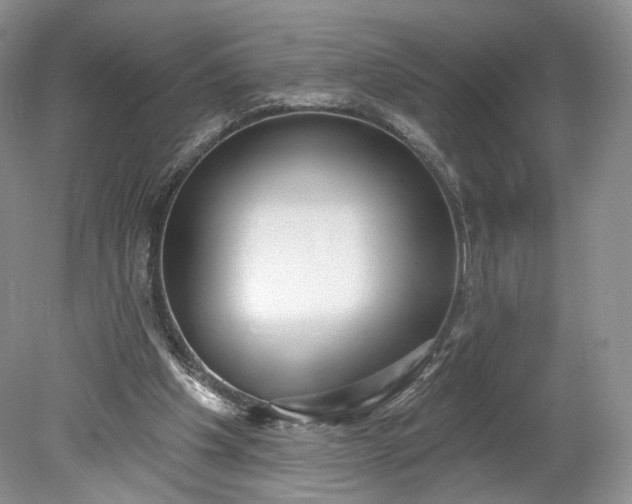 X0000078870201200611271309