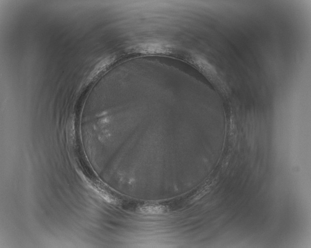 X0000078870202200611271309