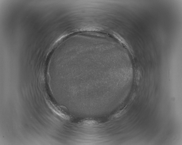 X0000078870203200611271309