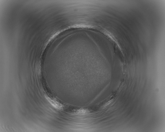 X0000078870204200611271309