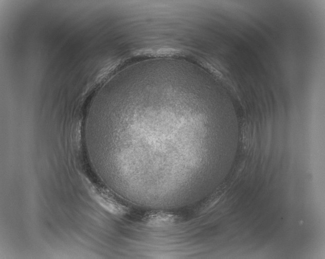 X0000078870206200611271309