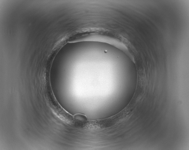 X0000078870207200611271309