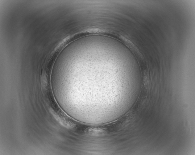 X0000078870208200611271309