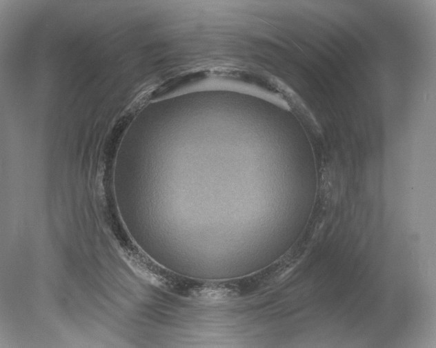 X0000078870209200611271309