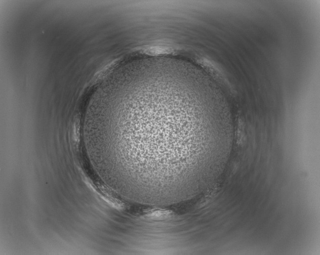 X0000078870210200611271309