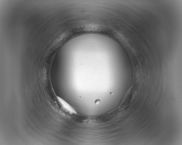 X0000078870211200611271309