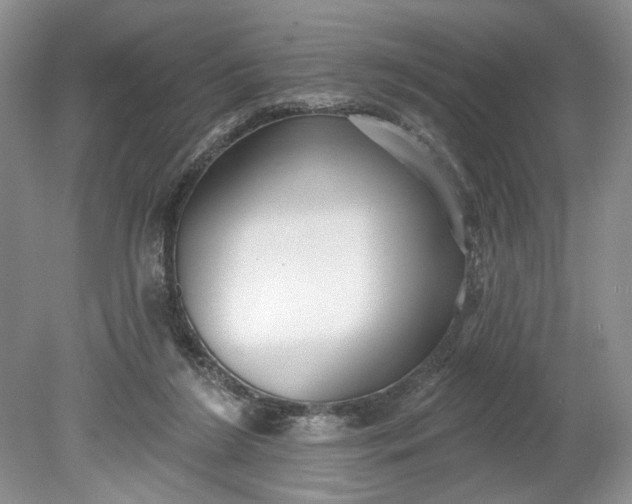 X0000078870212200611271309