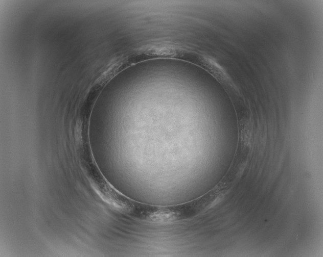 X0000078870213200611271309