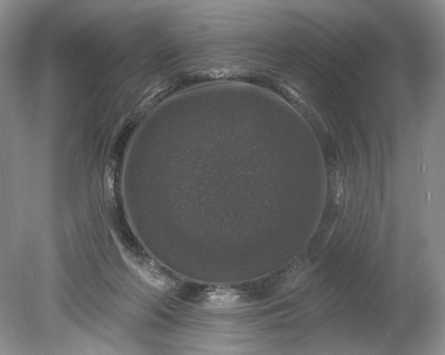 X0000078870214200611271309