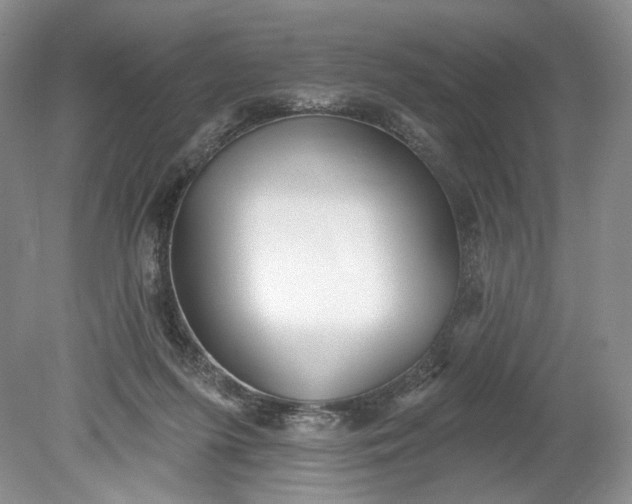 X0000078870215200611271309