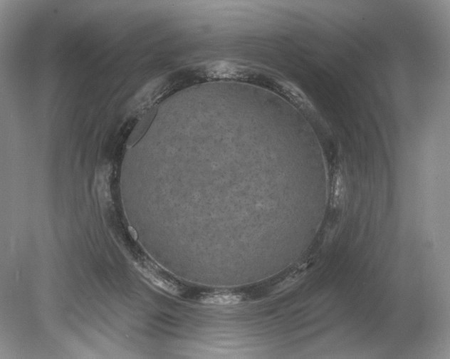 X0000078870217200611271309