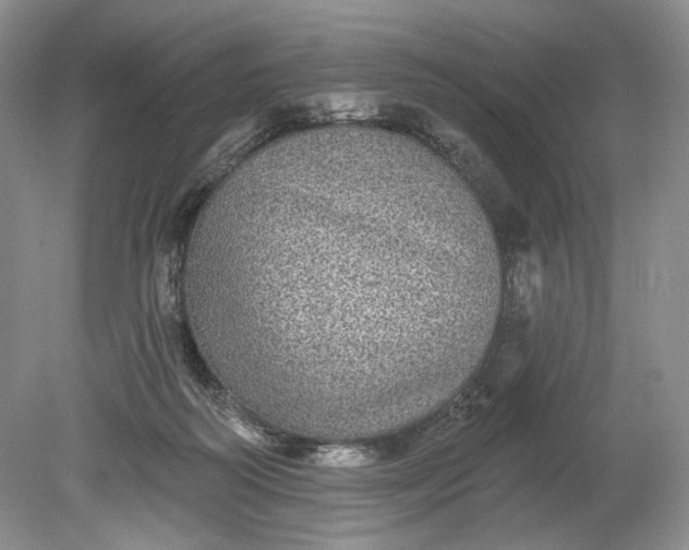 X0000078870218200611271309