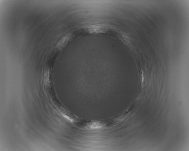 X0000078870219200611271309