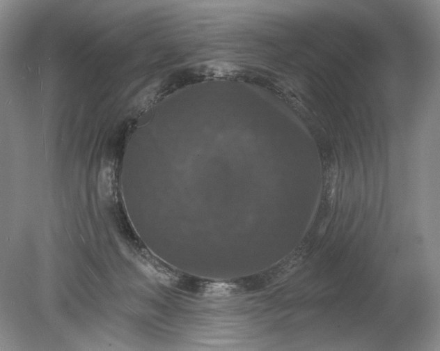 X0000078870222200611271309