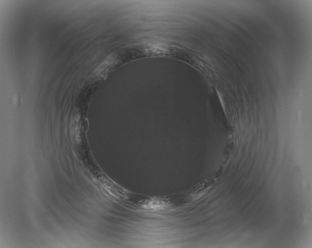 X0000078870223200611271309