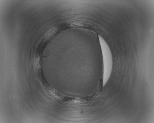 X0000078870224200611271309