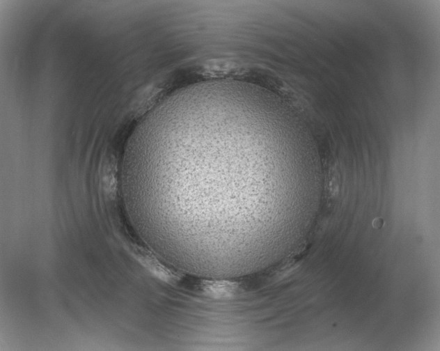 X0000078870226200611271309