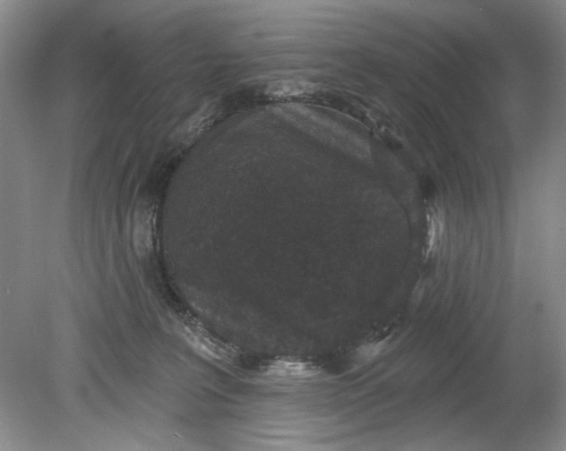 X0000078870227200611271309