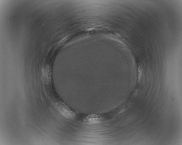 X0000078870228200611271309