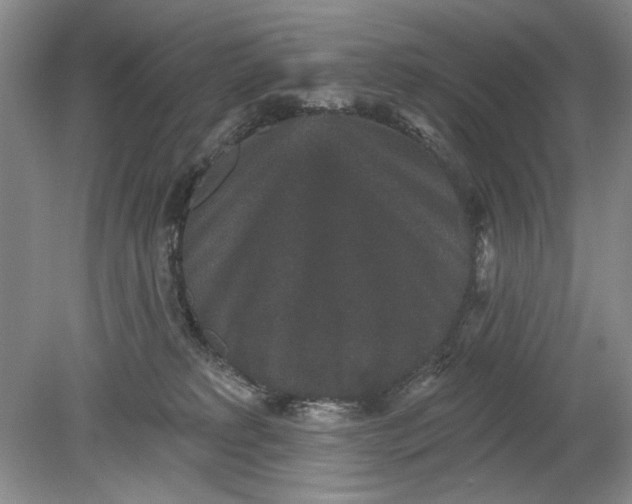 X0000078870229200611271309