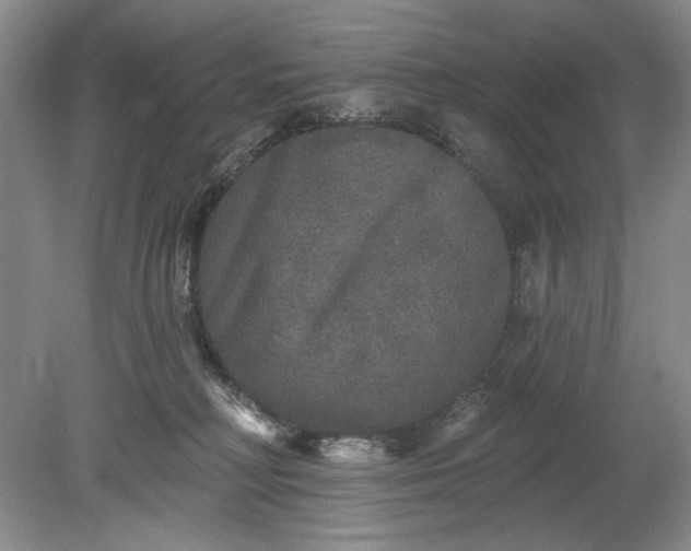 X0000078870230200611271309