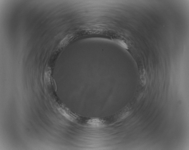 X0000078870231200611271309